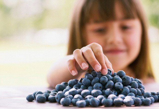 Blueberries - Keep Your Brain Healthy & Sharp