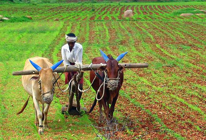 Decreasing Agricultural products - future of India