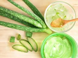Aloe vera for fungal infection