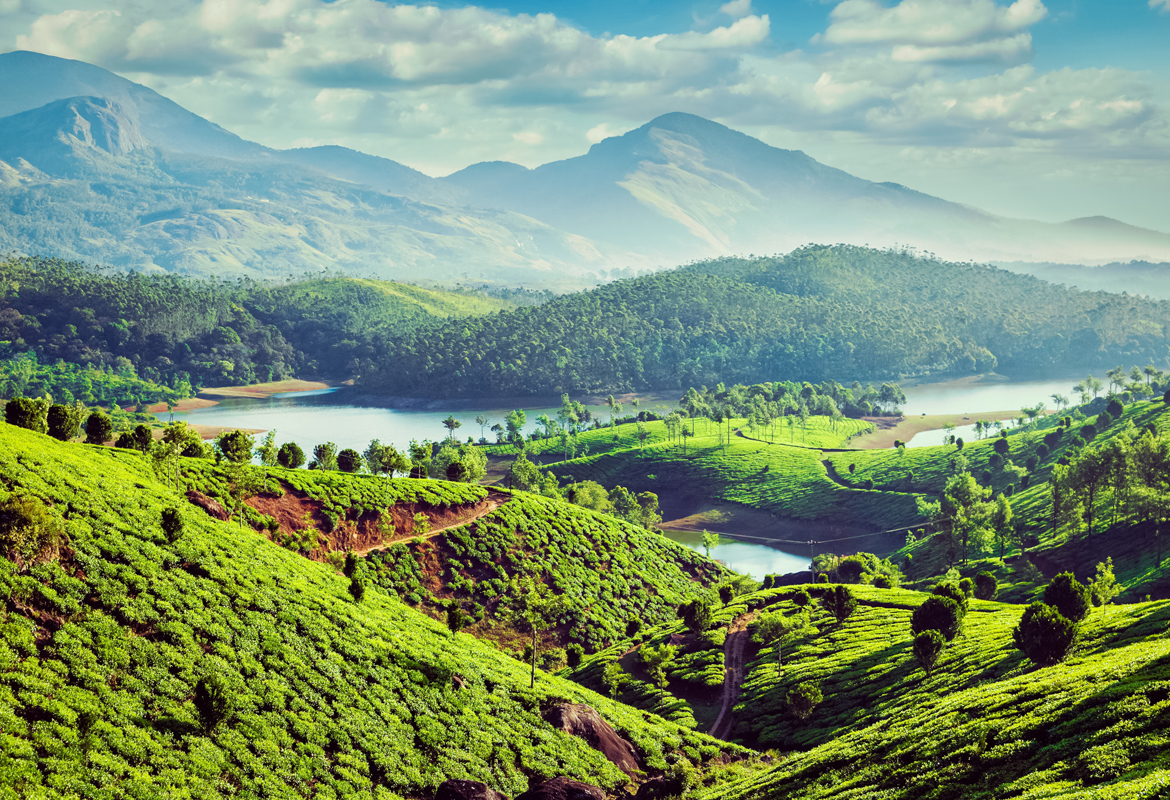 Munnar (Kerala)