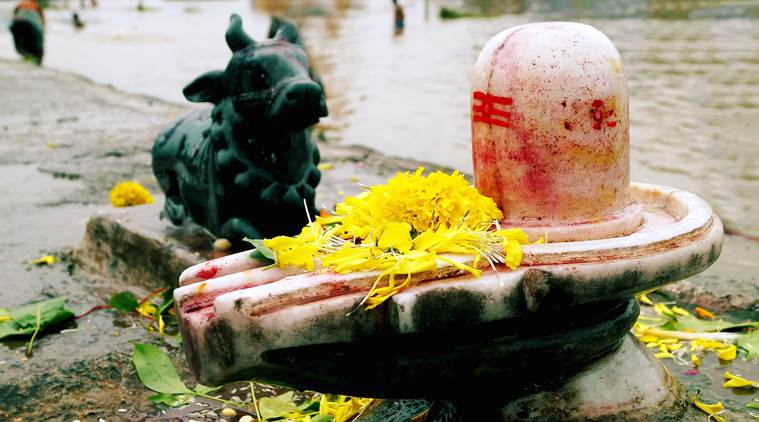 Shivji puja - Maha Shivratri