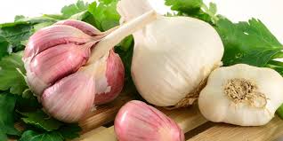 garlic for fungal infection
