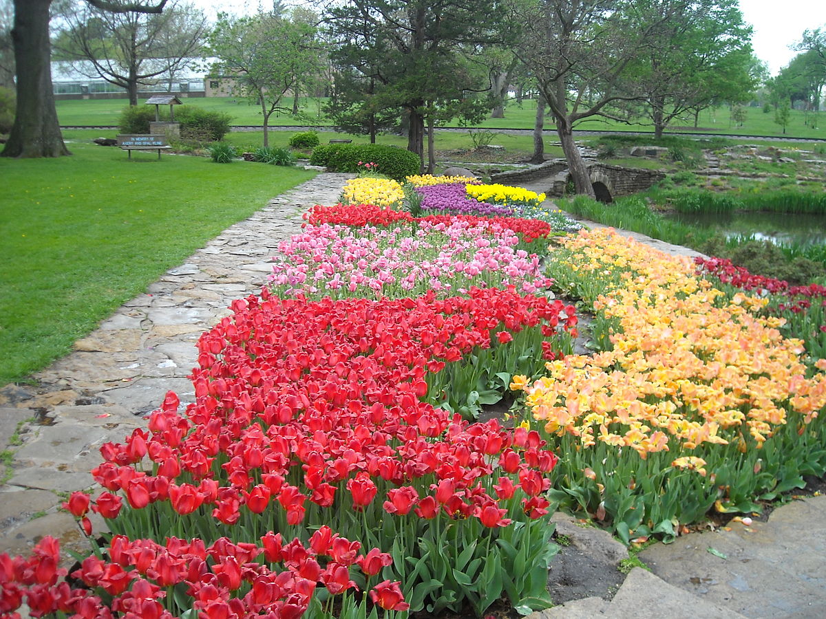 rose garden - the city beautiful Chandigarh