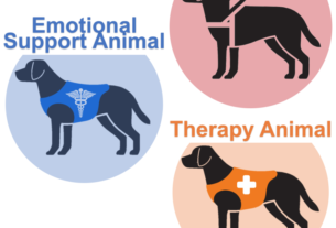 emotional support dog - service support therapy