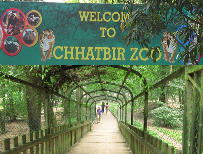 Chhatbir zoo - the city beautiful Chandigarh