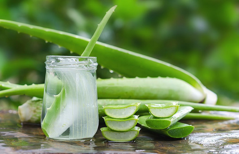 home remedies for recurring acne - aloevera