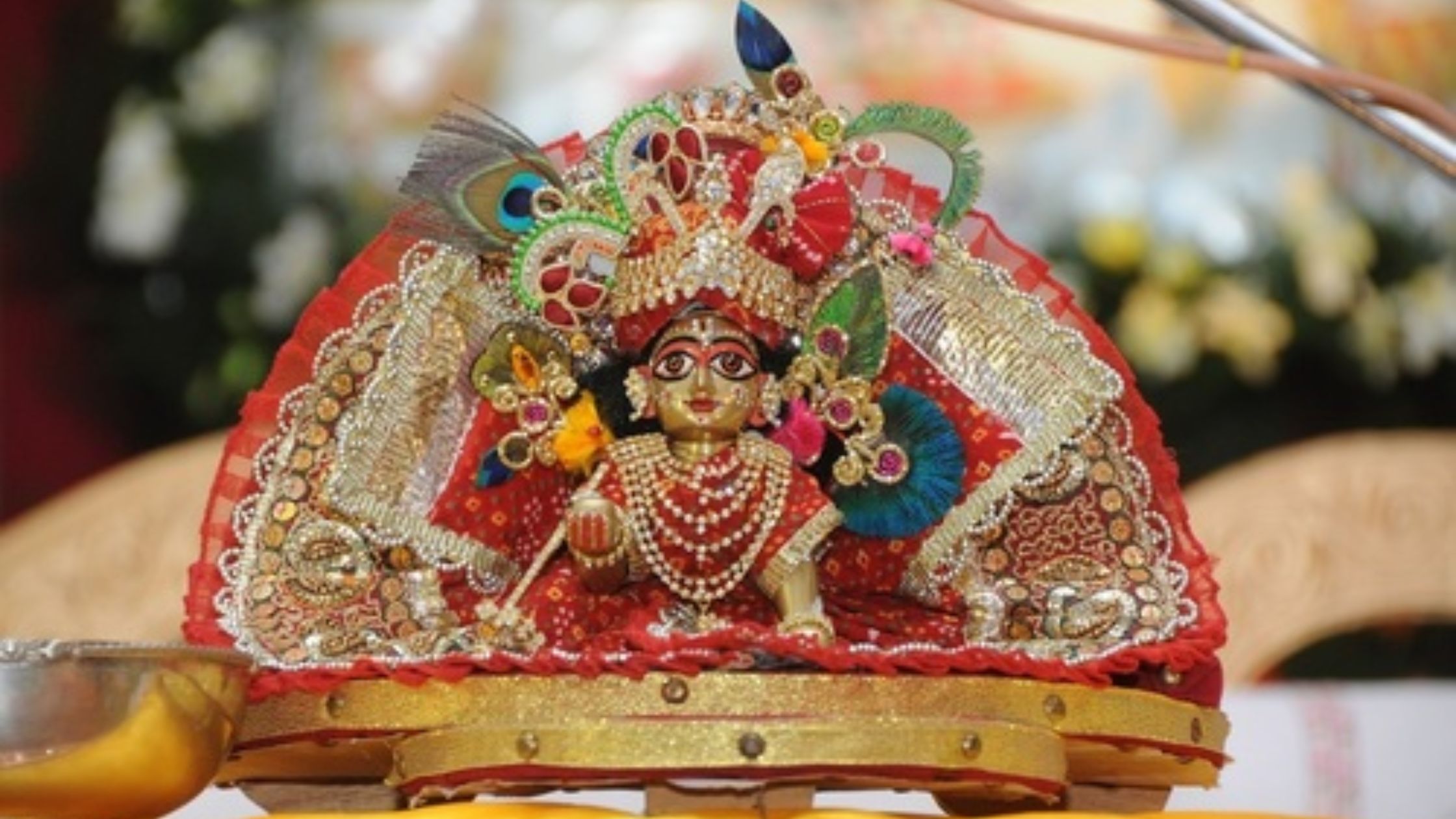 Household Tips and Rules for Laddu Gopal - India Trendin