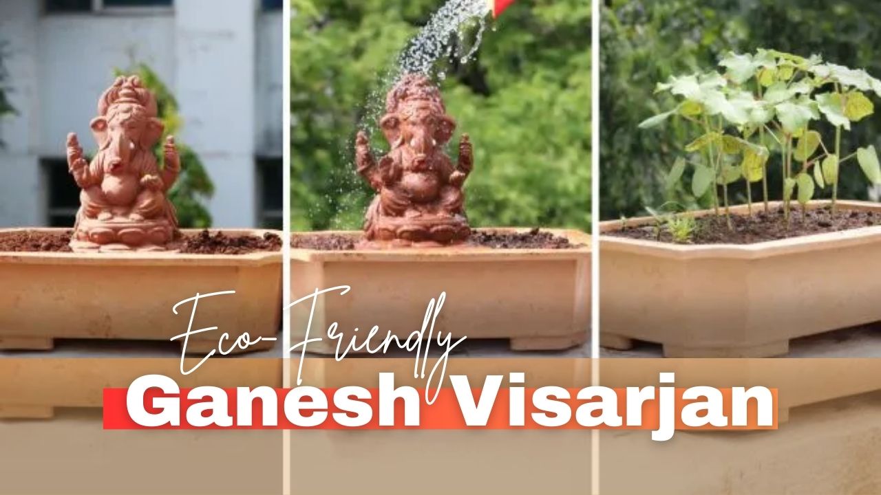 Eco-Friendly Ganesh Visarjan