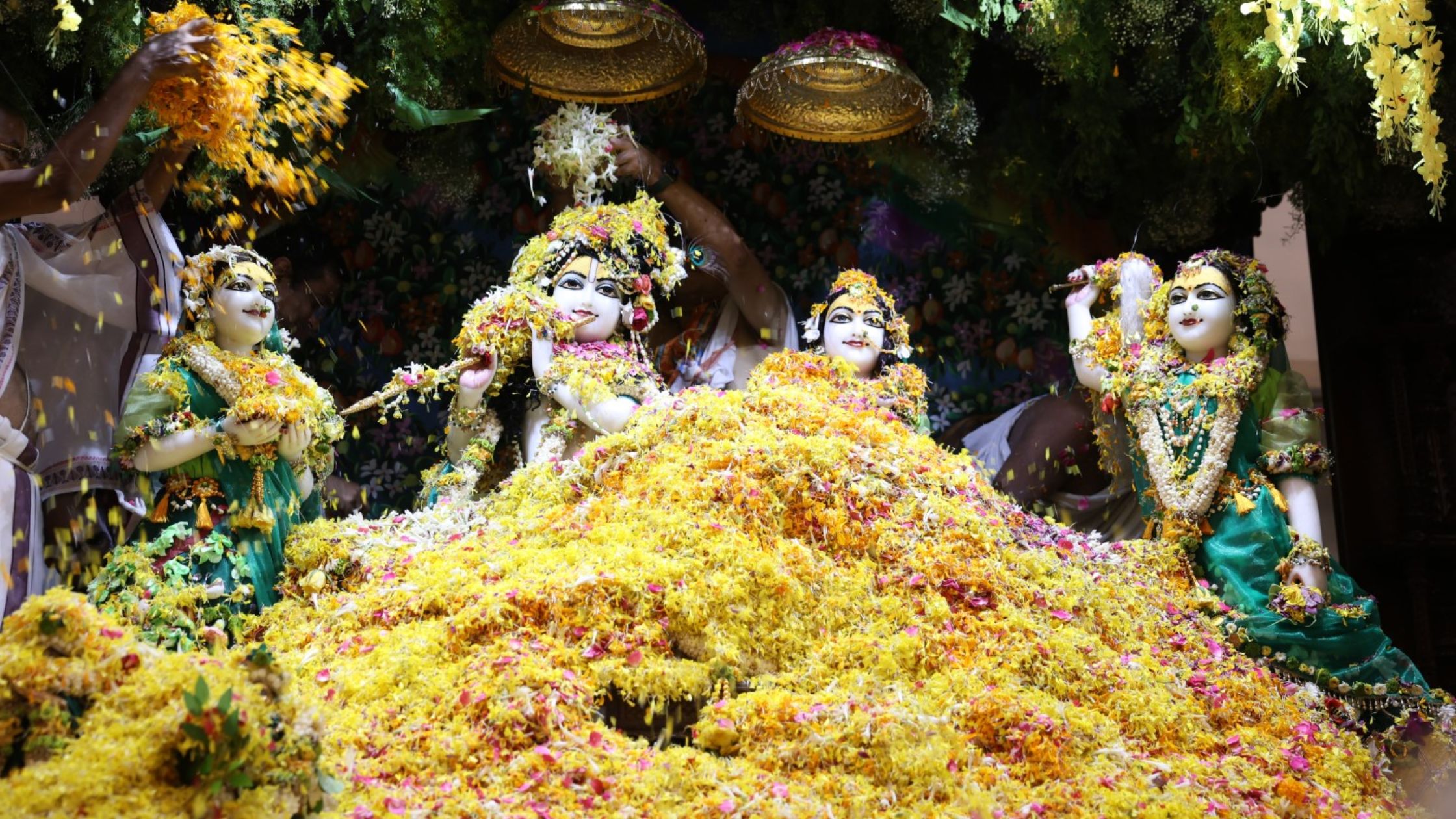 Radha Krishna Vivah and Phulera Dooj