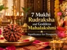 7 Mukhi Rudraksha