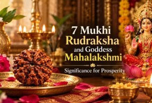 7 Mukhi Rudraksha